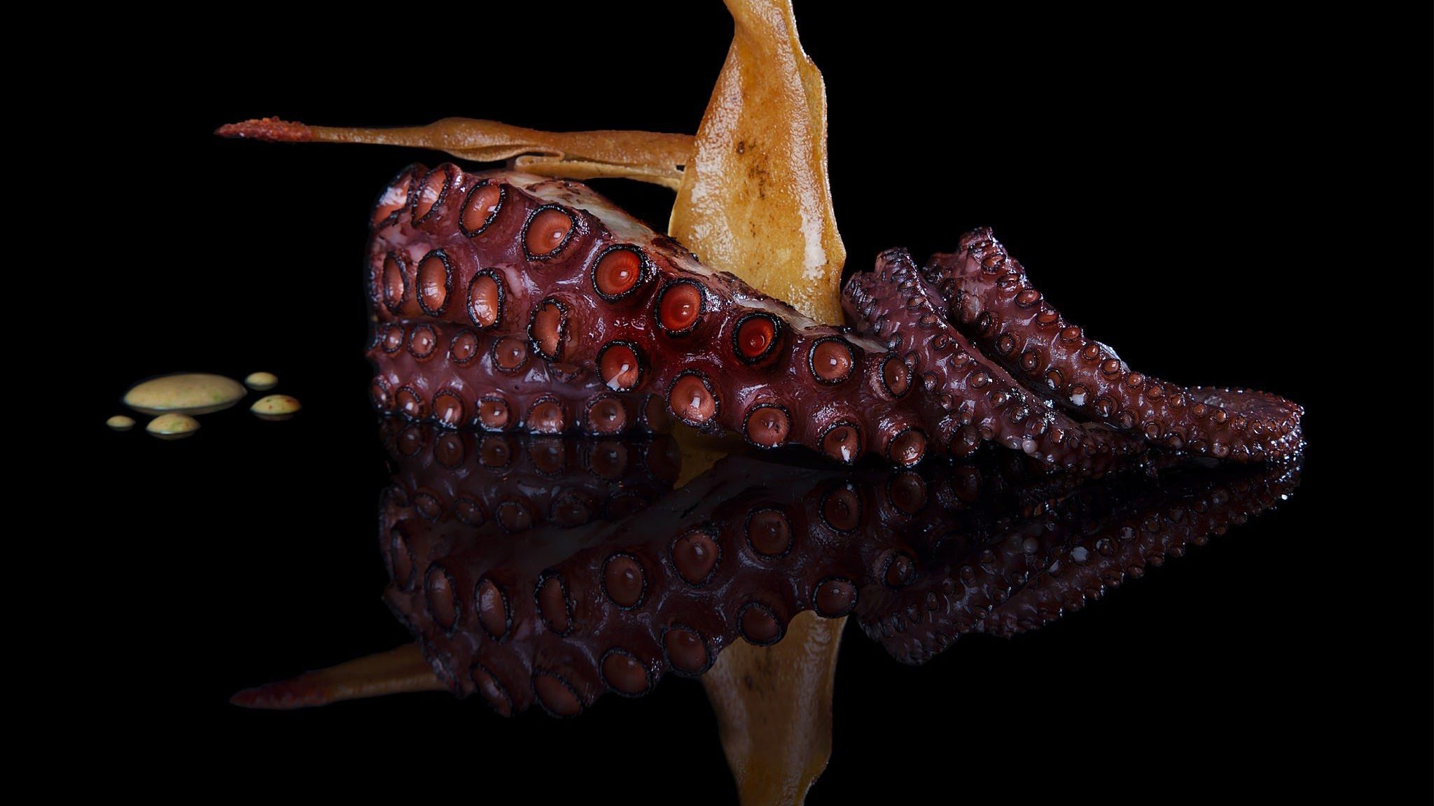 Grilled octopus - Arabesque restaurant, Hotel President Wilson, A Luxury Collection Hotel, Geneva