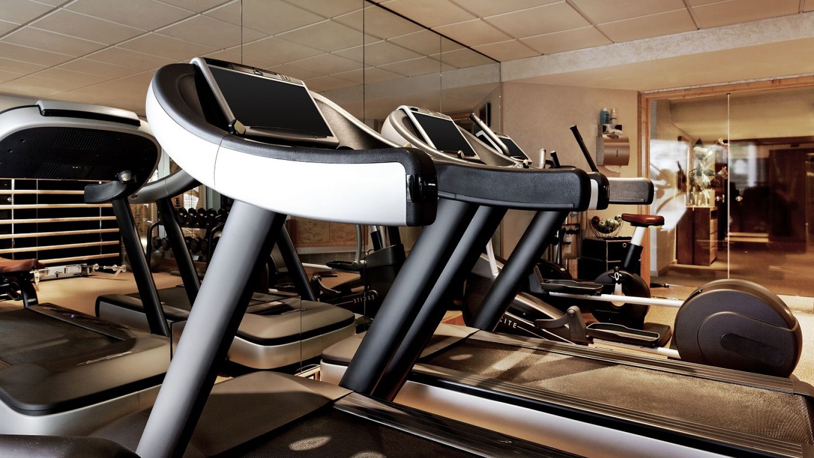 Tapis de course Technogym - Hotel President Wilson, A Luxury Collection Hotel, Geneva